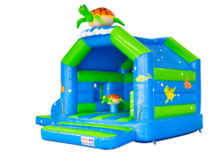 Multifun Schildpad Springkussen